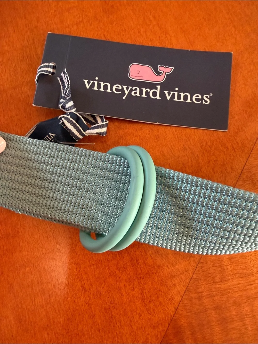 NWT Light Aqua Double-Ring Fabric Belt - Women Accessories large